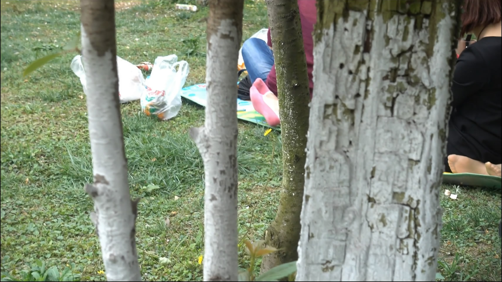 streetsnapnylon[00 00 47][20181205 224654 6]